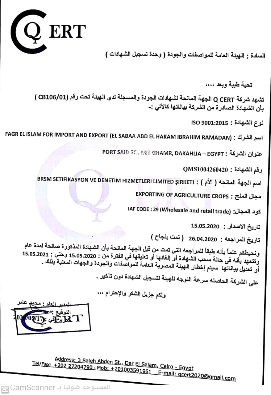 خطاب تفويض Stc
